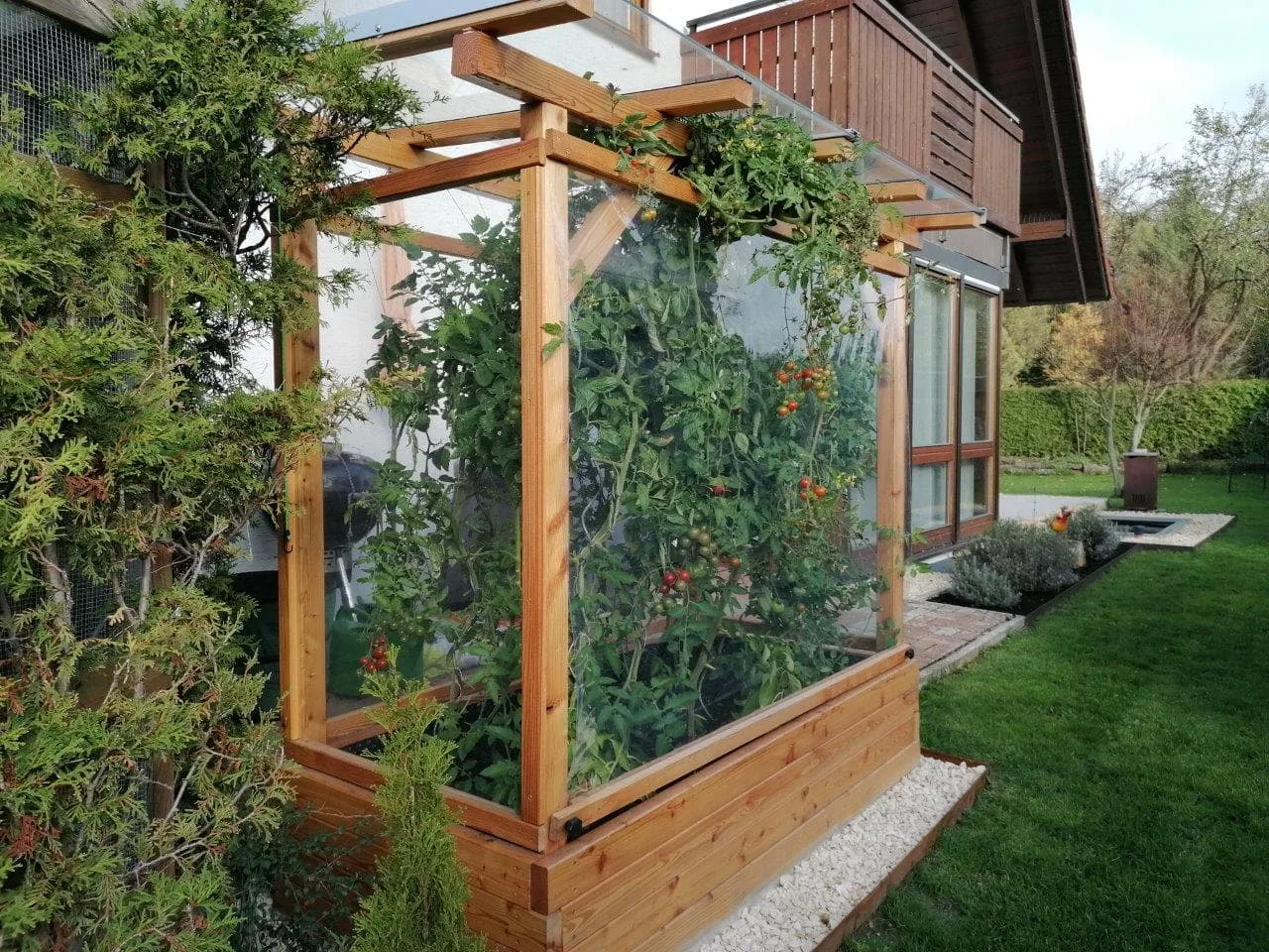 Tomaten-Paradies, Ansicht 16
