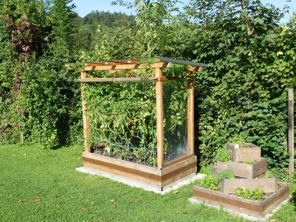 Tomaten-Paradies, Ansicht 19