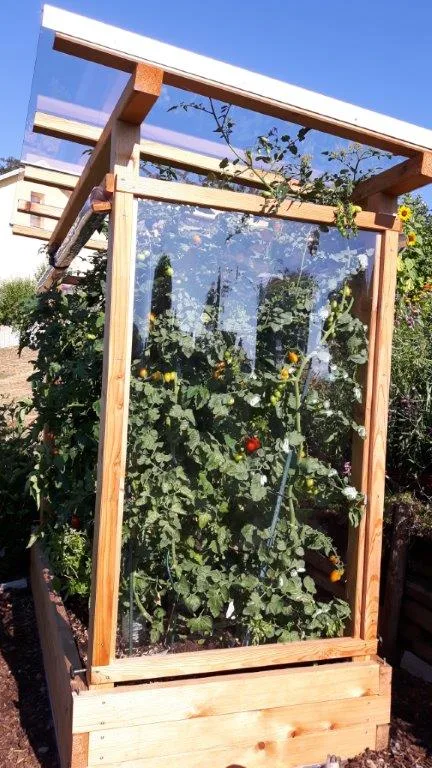 Tomaten-Paradies, Ansicht 22