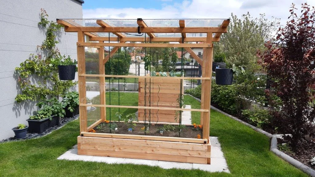Tomaten-Paradies, Ansicht 24