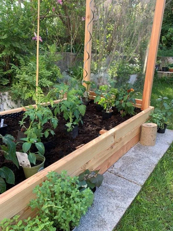 Tomaten-Paradies, Ansicht 27