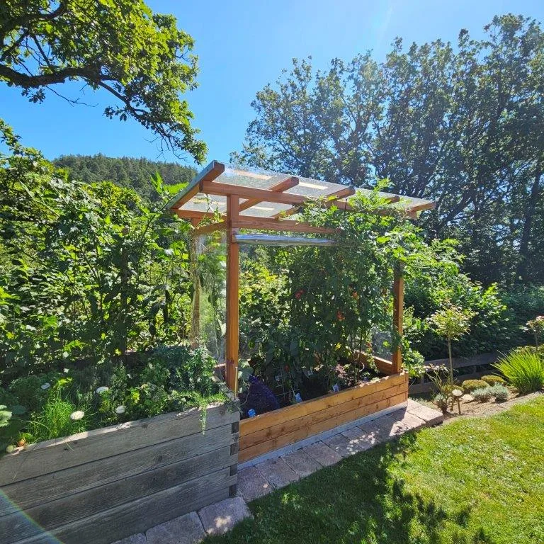 Tomaten-Paradies, Ansicht 31
