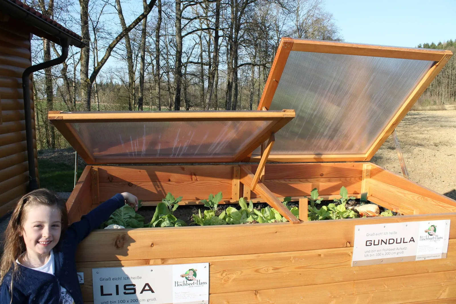 Hochbeet Lisa 100 x 200, Ansicht 4