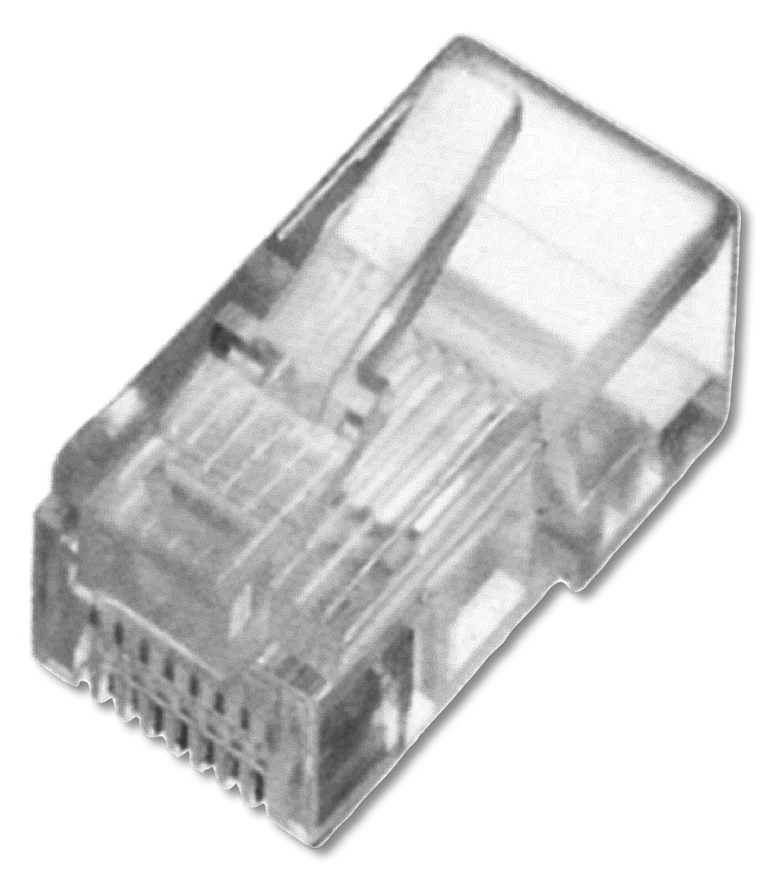 Assmann DIGITUS - Netzwerkanschluss - RJ-45 (M) - ungeschirmt