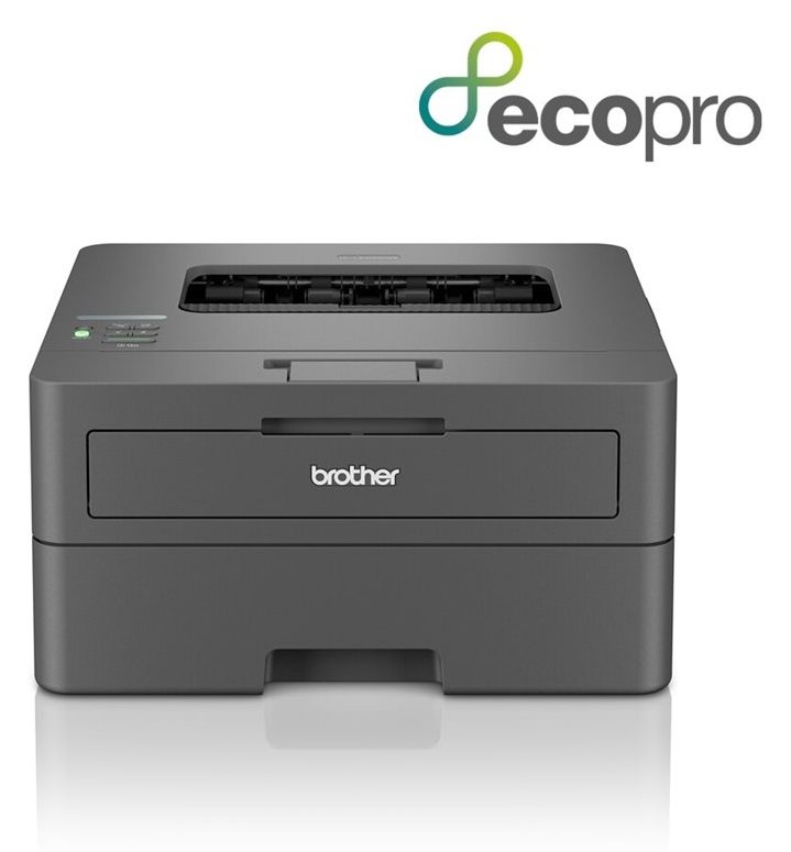 Brother HL-L2400DWE - Drucker - s/w - Duplex