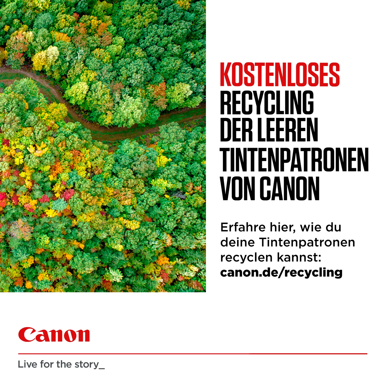 Canon CLI-581XXL Ink Cartridge C/M/Y/BK - Tintenpatrone, Ansicht 3