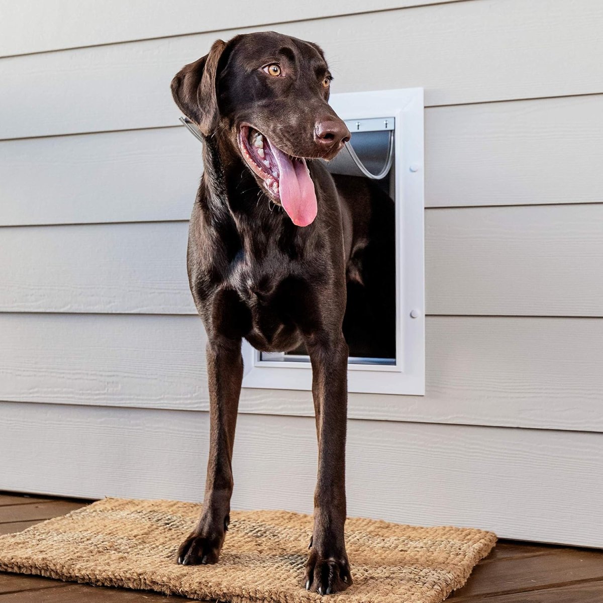 PetSafe Haustiertür für Hunde und Katzen, mit Teleskop-Tunnel, Weiß, groß — Bild 2