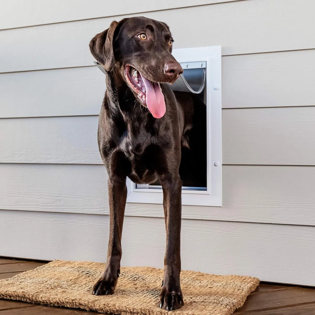PetSafe Haustiertür für Hunde und Katzen, mit Teleskop-Tunnel, Weiß, groß — Bild 2