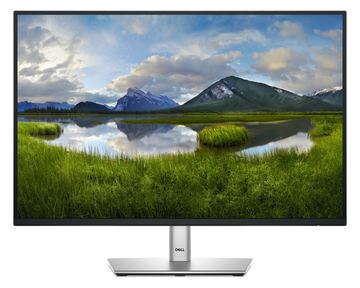 Dell P2425E - LED-Monitor - 61 cm (24) (24.07 sichtbar) von LumaTech