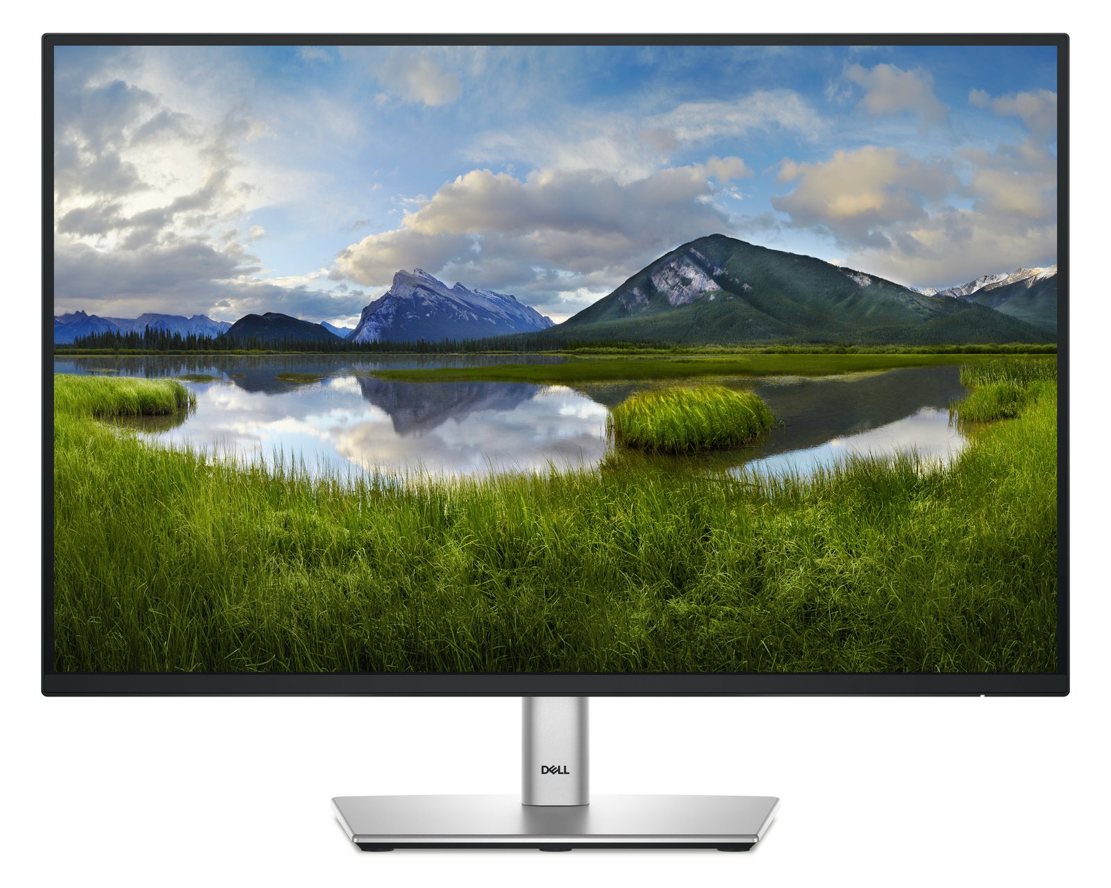 Dell P2425E - LED-Monitor - 61 cm (24) (24.07 sichtbar)