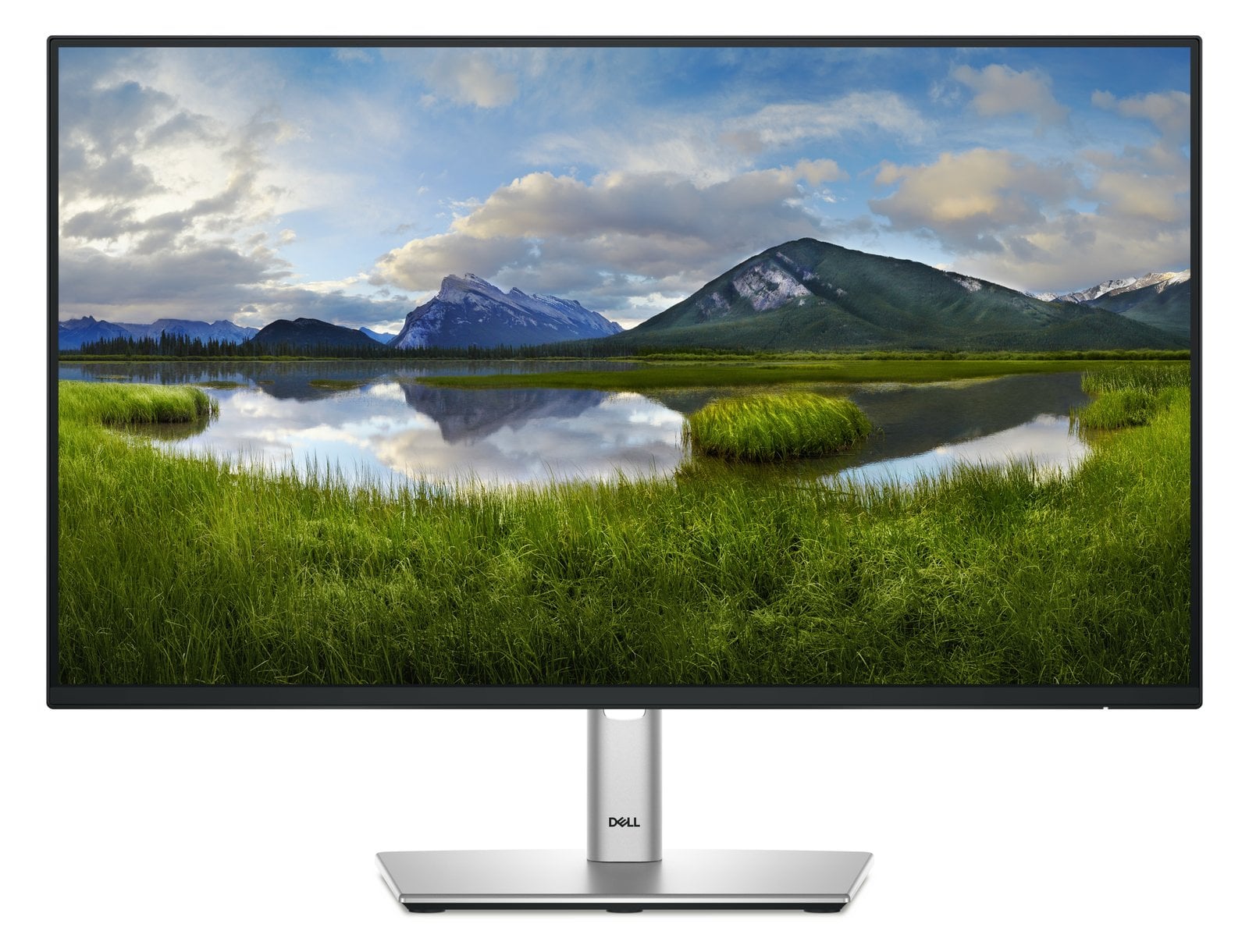 Dell P2425H - LED-Monitor - 61 cm (24) (23.81 sichtbar)