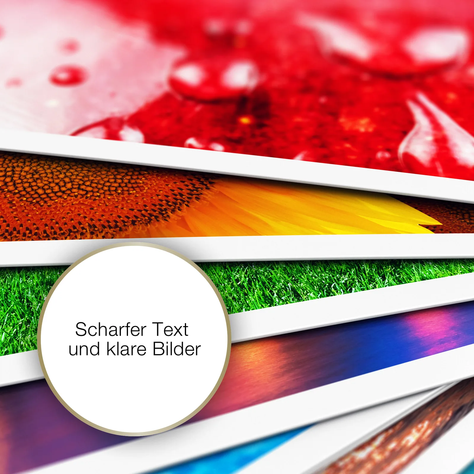Epson Business Paper - A4 (210 x 297 mm) - 80 g/m², Ansicht 7