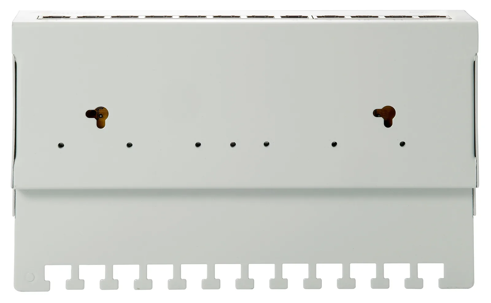 Equip Patch Panel - Patch Panel - CAT 6 - RJ-45 X 12, Ansicht 2