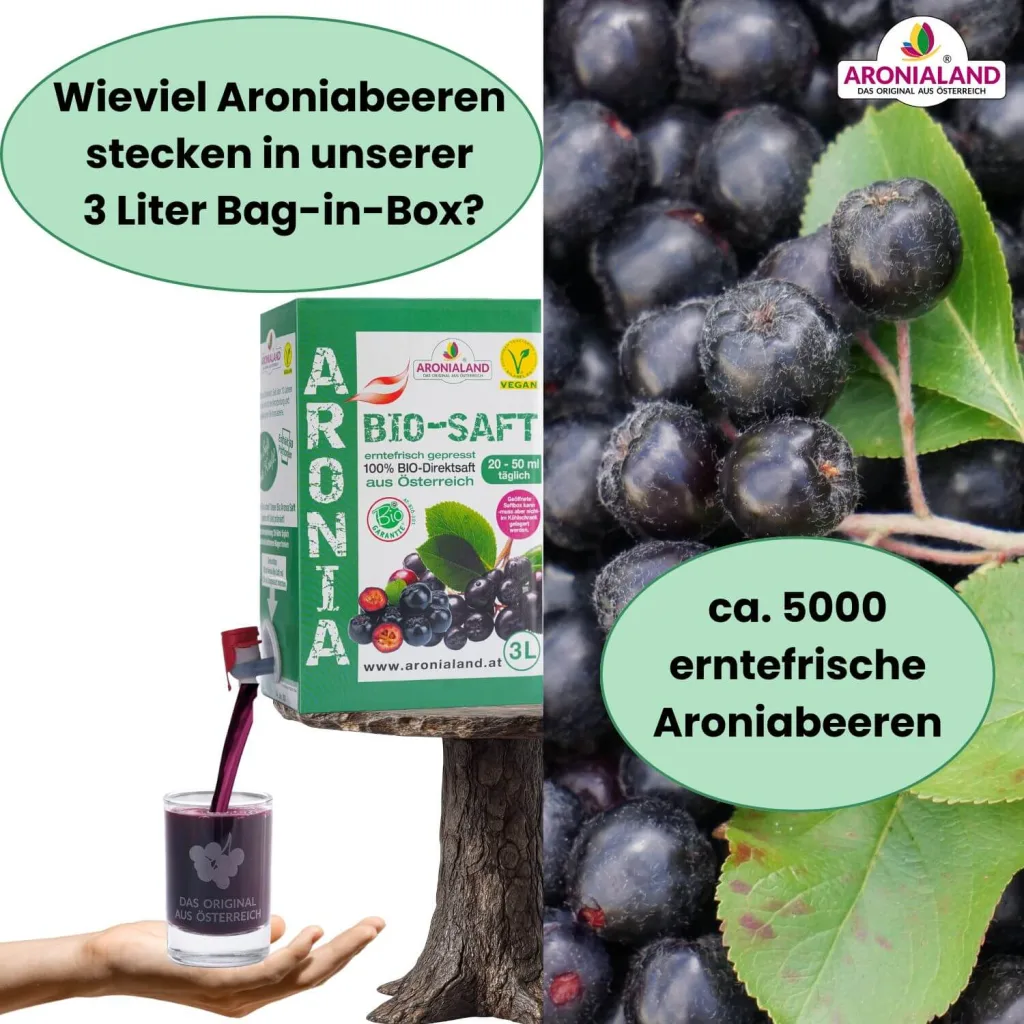 Bio-Aroniasaft 3 x 3L – 100 % Direktsaft aus Österreich, 1.629 mg OPC pro 50 ml, Ansicht 9