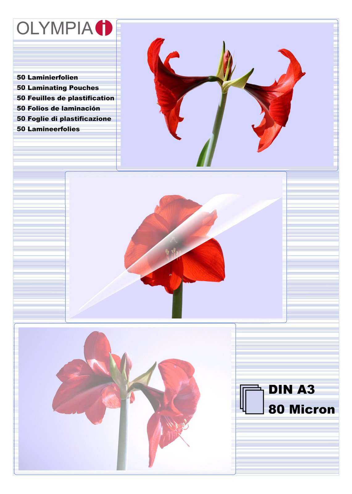 Olympia 1x50 DIN A3 80 micron - Transparent - A3 - 50 Stück(e)