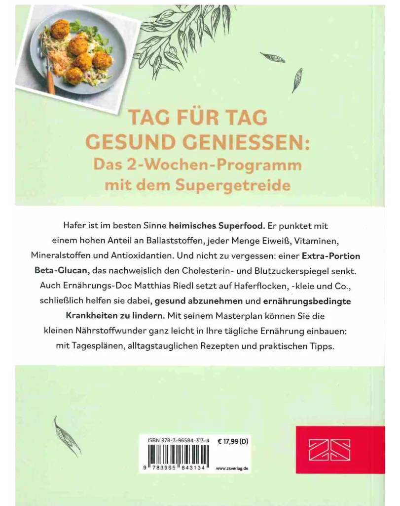 Der Hafer - Masterplan, Ansicht 2