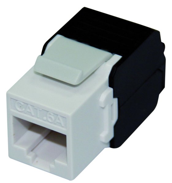 ROLINE Keystone Jack - Modulare Eingabe - CAT 6a