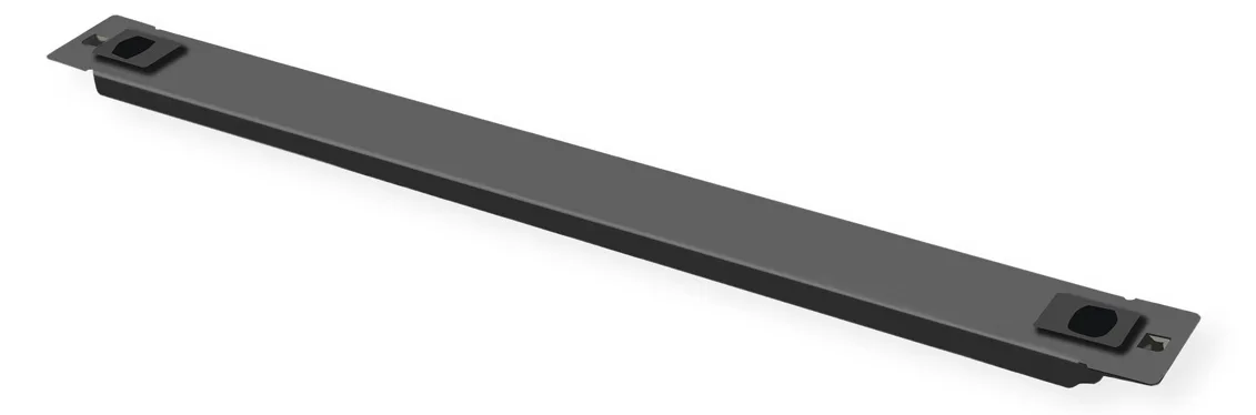 ROLINE Rack - Leerkonsole - Schwarz, RAL 9005 - 1U - 48.3 cm (19), Ansicht 2