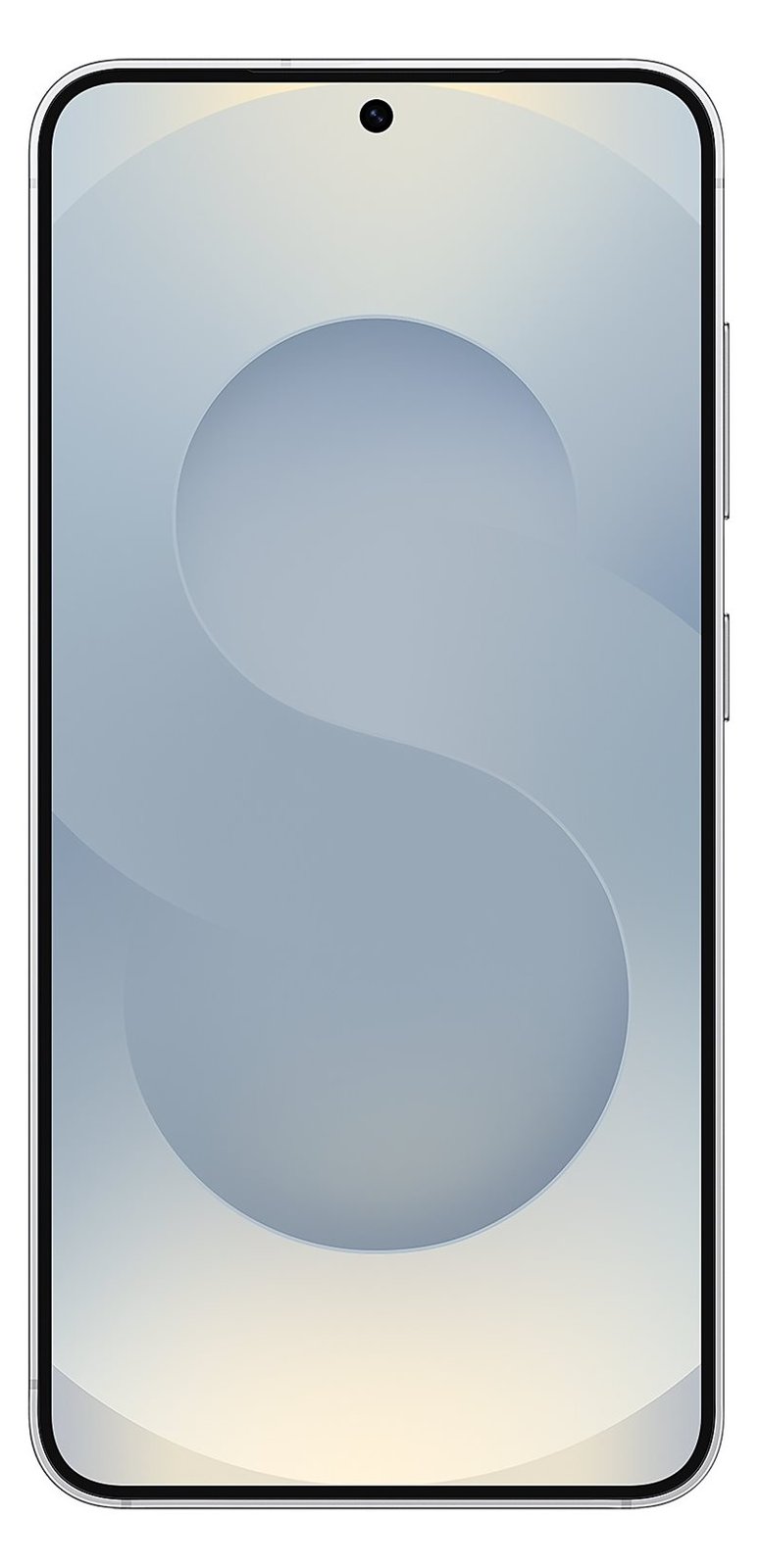 Samsung Galaxy S25 256 GB Enterprise Edition Silver Shadow - Smartphone - 256 GB