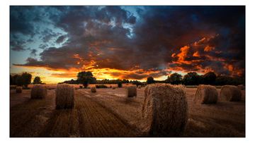 Samsung VM55B-U - 140 cm (55) Diagonalklasse VMB-U Series LCD-Display mit LED-Hintergrundbeleuchtung von LumaTech
