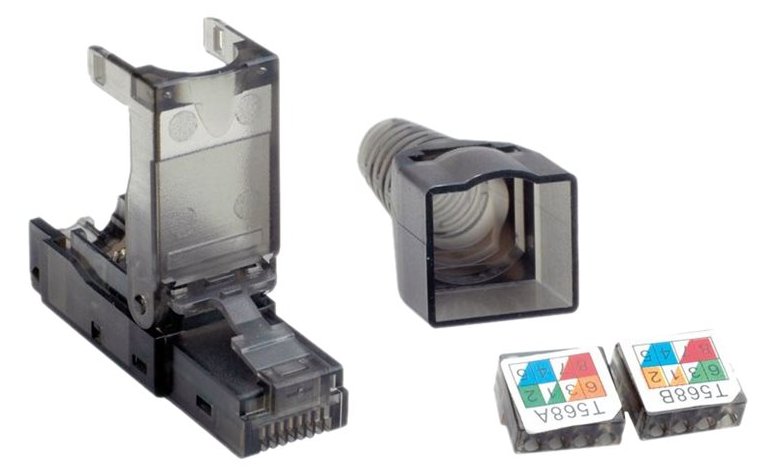 VALUE Netzwerkanschluss - RJ-45 (M) - UTP - CAT 6