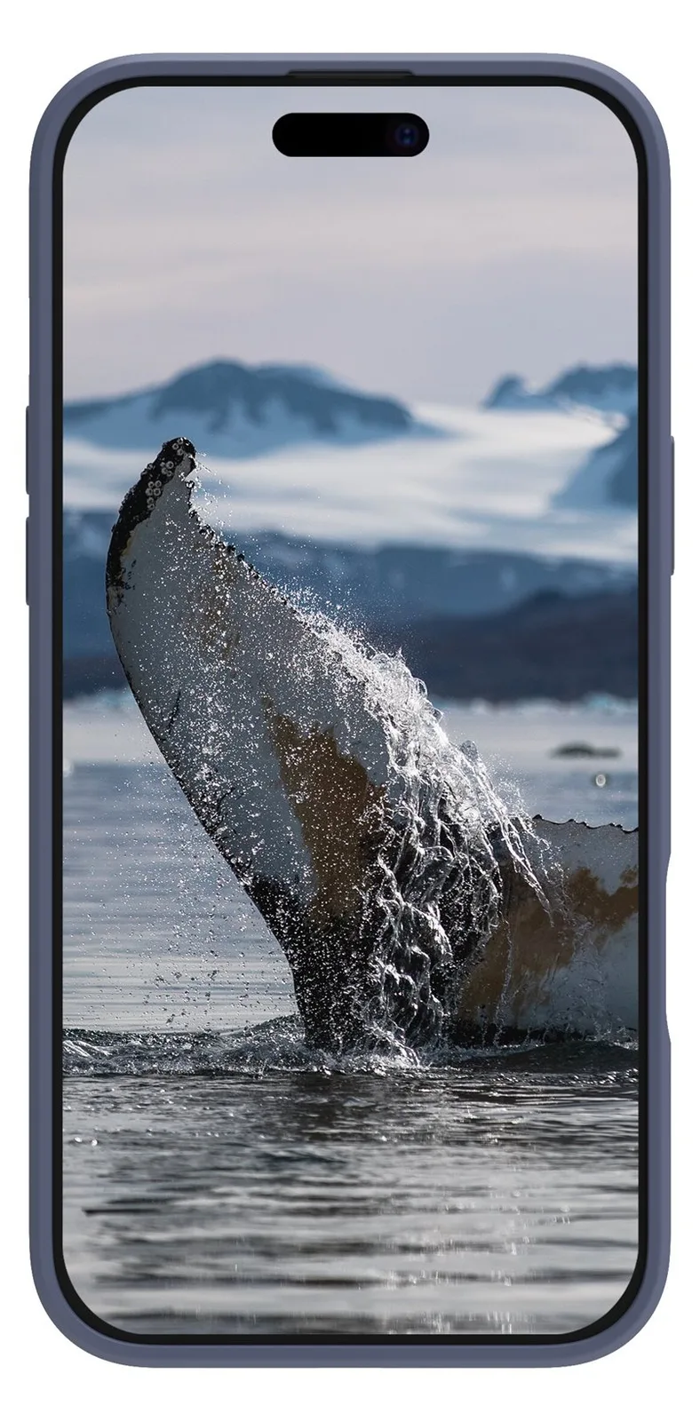 dbramante1928 Greenland Pro - Hintere Abdeckung für Mobiltelefon - blau Apple, Ansicht 3