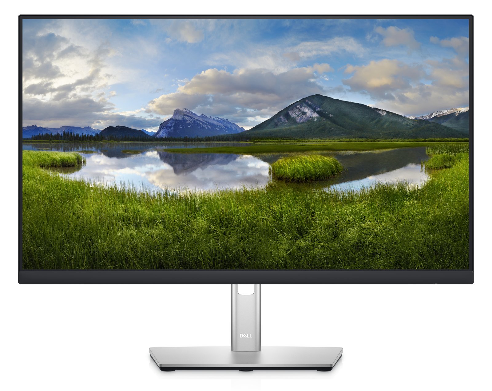 Dell P2422HE - LED-Monitor - 60.47 cm (24) - 1920 x 1080 Full HD (1080p)