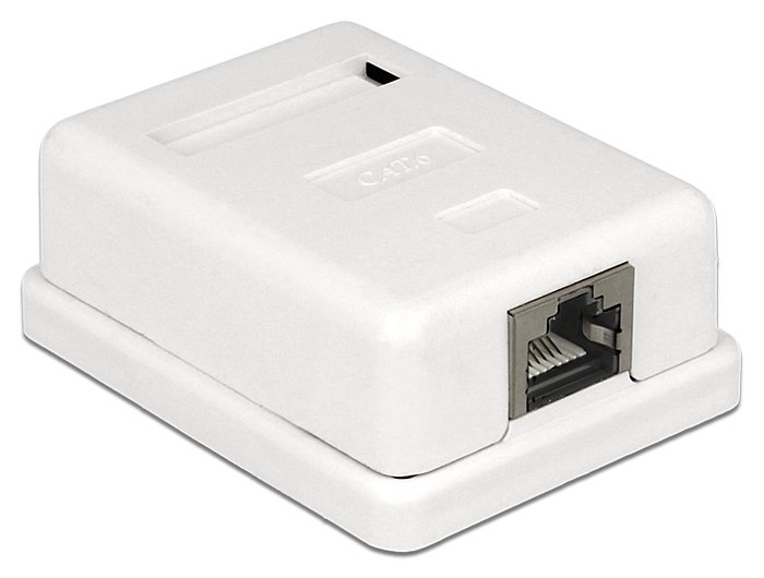 Delock Wanddose - RJ-45 - weiß