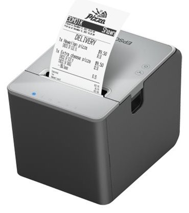 Epson TM L100 (103) - Belegdrucker - Thermozeile - Rolle (7,95 cm)