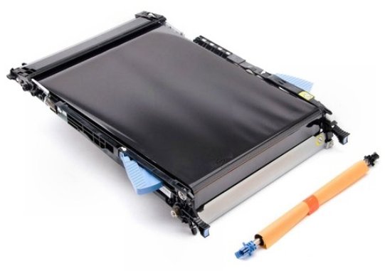 HP CF081-67904 - Gürtel - Schwarz - Orange