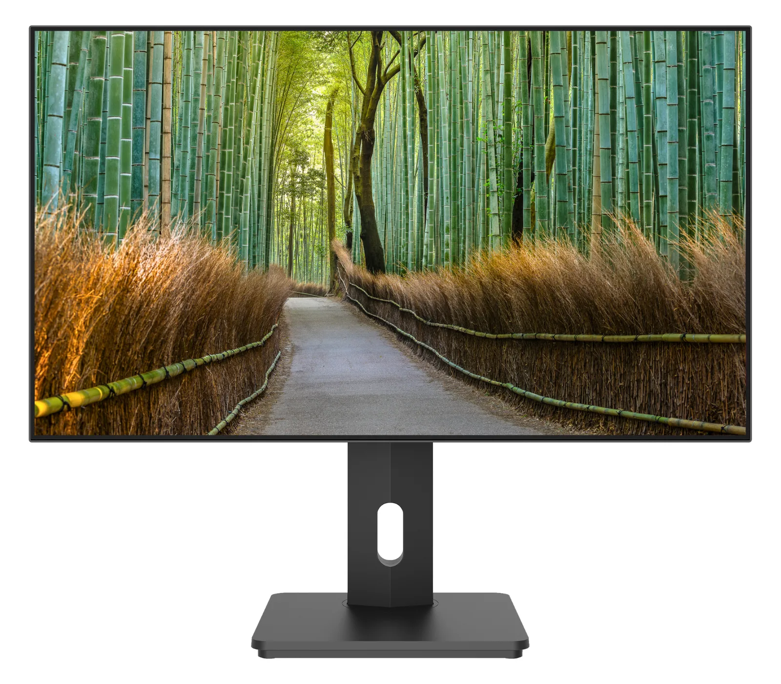 JAPANNEXT JN-27IPS4FLWQHDR-HSP 16 9 HDMI/DP WQHD - Flachbildschirm (TFT/LCD) 27, Ansicht 2