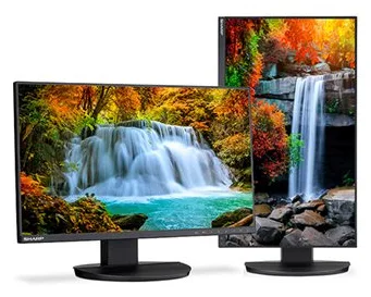 NEC Sharp MultiSync EA242F - LED-Monitor - 60.5 cm (23.8), Ansicht 2