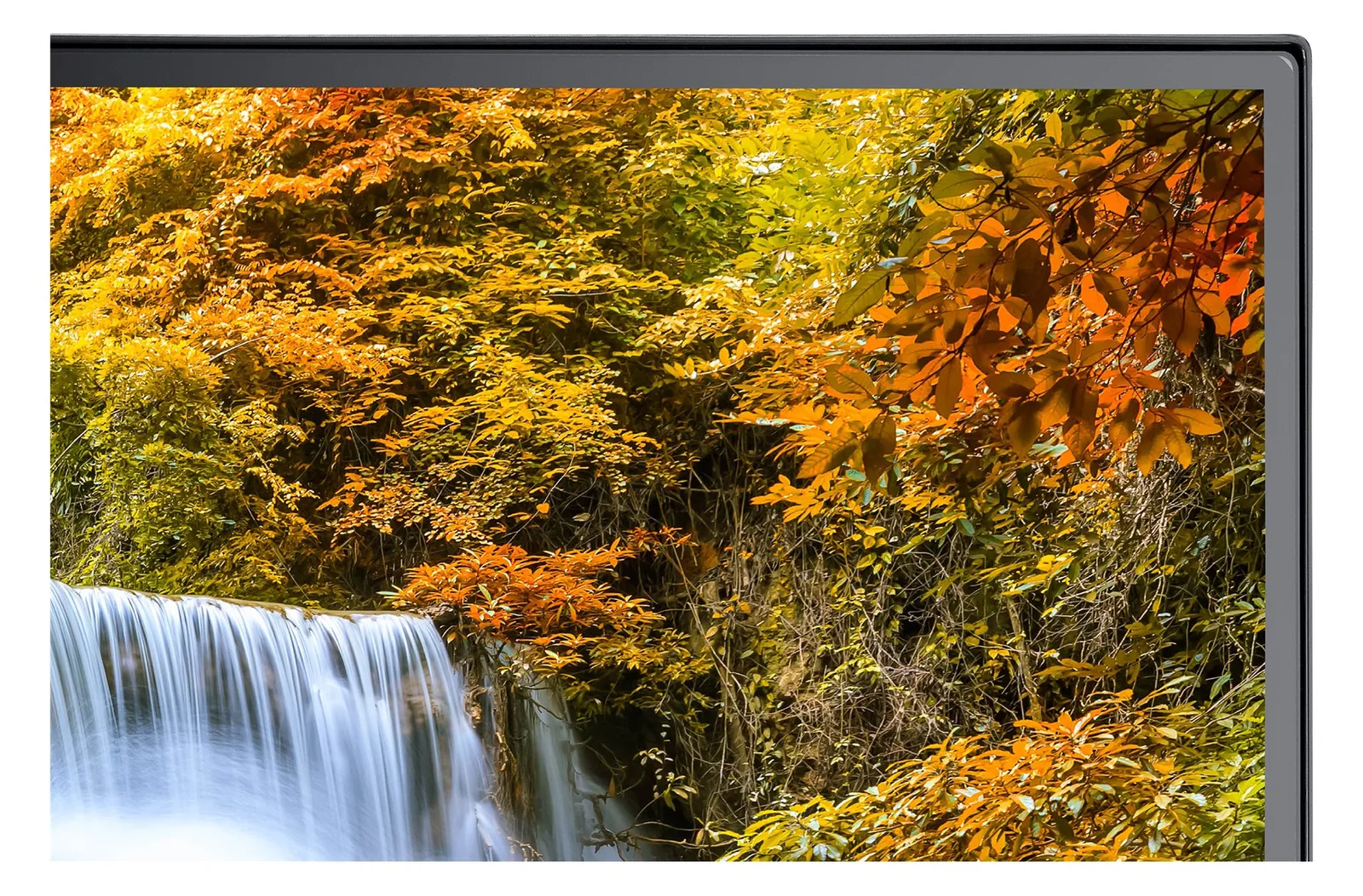 NEC Sharp MultiSync EA242F - LED-Monitor - 60.5 cm (23.8), Ansicht 3