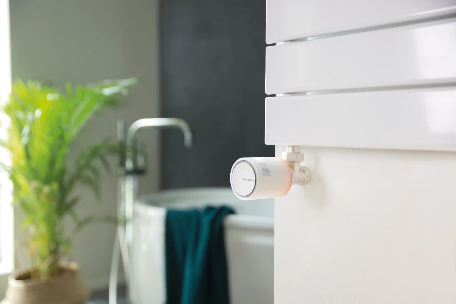 Netatmo NBU-NAV-EU - Weiß - 0 - 50 °C - 2400 MHz - 100 m - 5 - 30 °C - °C, Ansicht 4