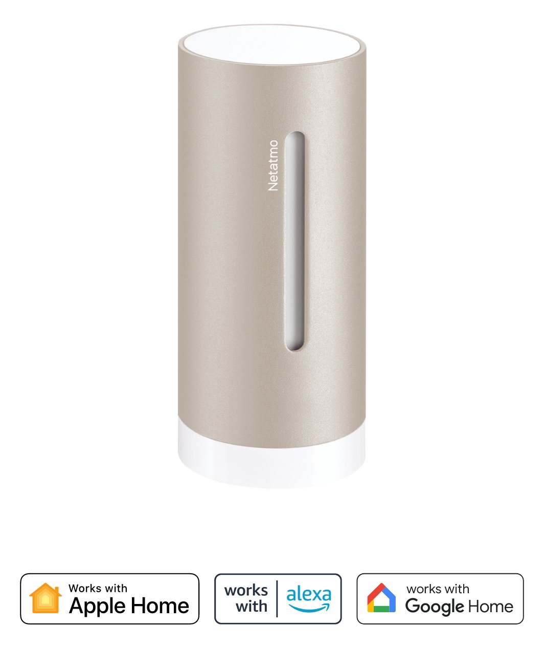 Netatmo NIM-S-WW - Grau - Innen-Hygrometer - Innen-Thermometer - Hygrometer - Thermometer