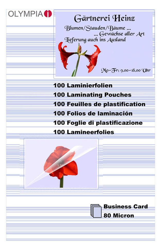 Olympia 100 Stck. laminiertes Band