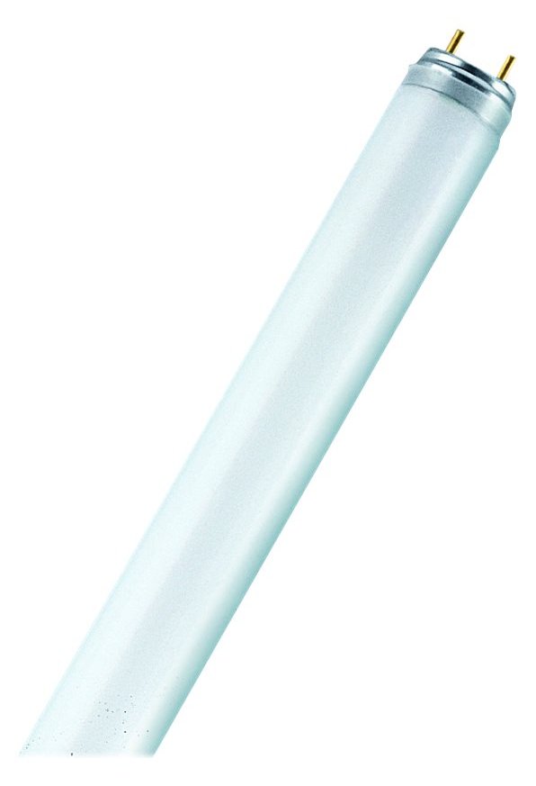 Osram LUMILUX - Fluoreszierende Glühlampe - Form: T8