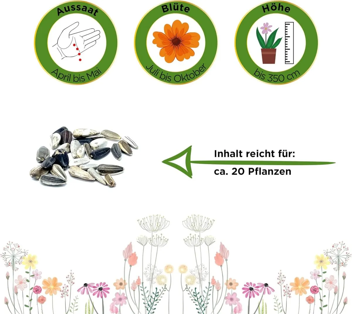 Sonnenblumen Einfache Riesen Samen - Helianthus annuus - Sonnenblumensamen - Blumensamen - Saatgut für 20 Pflanzen — Bild 2