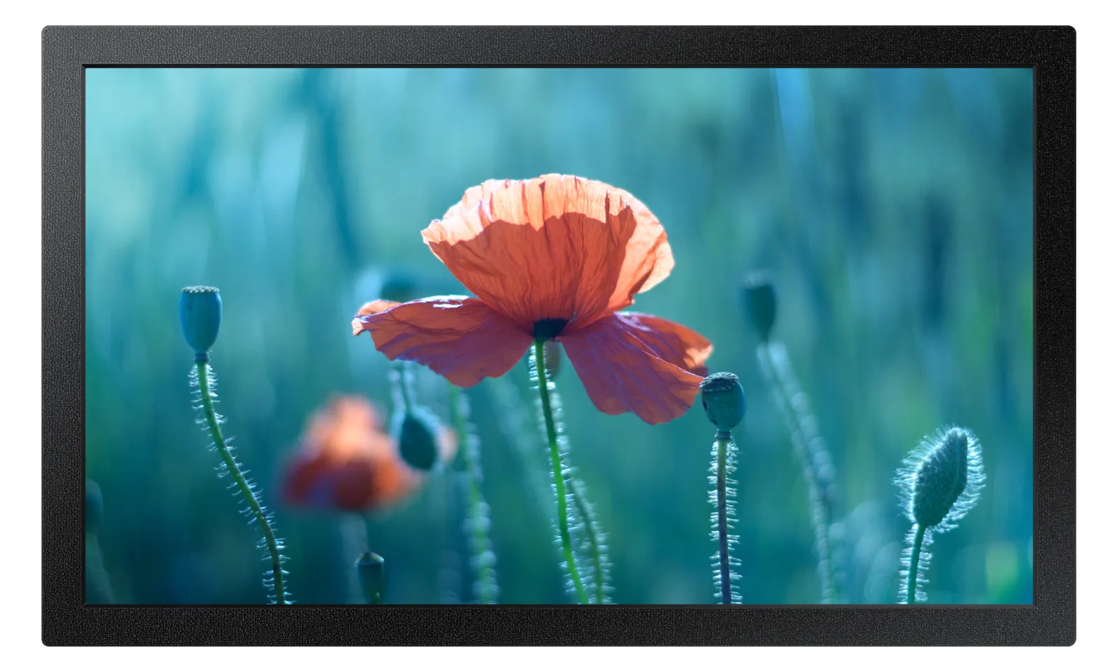 Samsung QB13C - 33 cm (13) Diagonalklasse LCD-Display mit LED-Hintergrundbeleuchtung, Ansicht 2