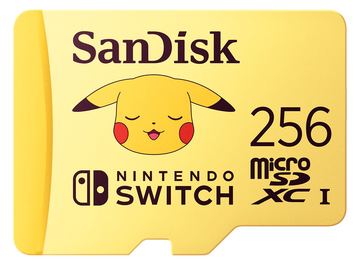 SanDisk Flash-Speicherkarte - 256 GB - Video Class V30 / UHS-I U3 von LumaTech