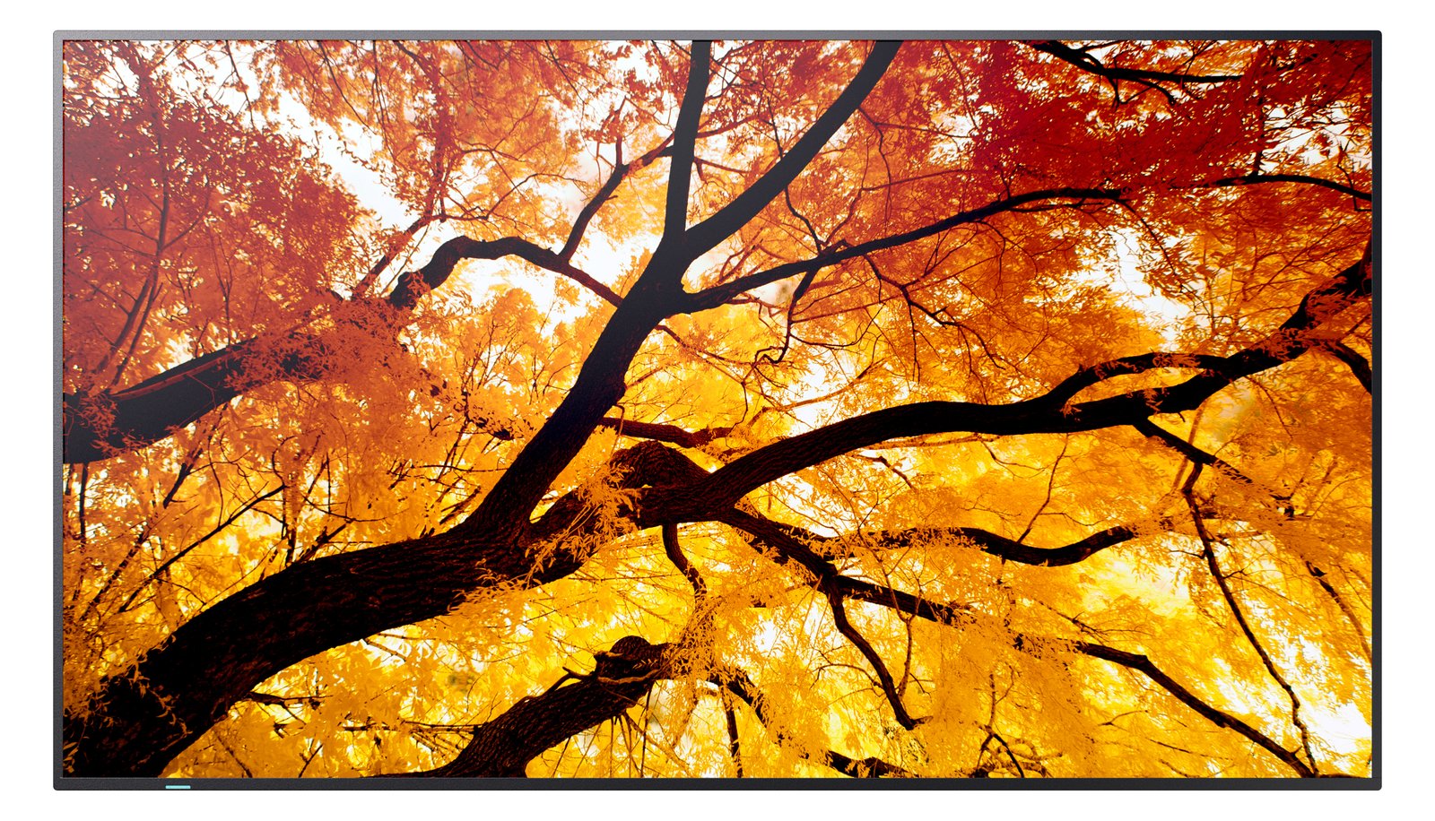 Sharp 81.0cm 32 MS M322 16 9 2xHDMI+DP+USB