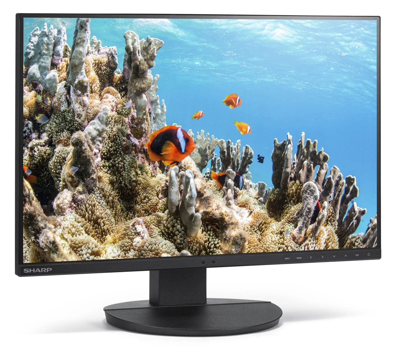Sharp MultiSync EA242W - 24 - Flachbildschirm (TFT/LCD) - 61 cm, Ansicht 3