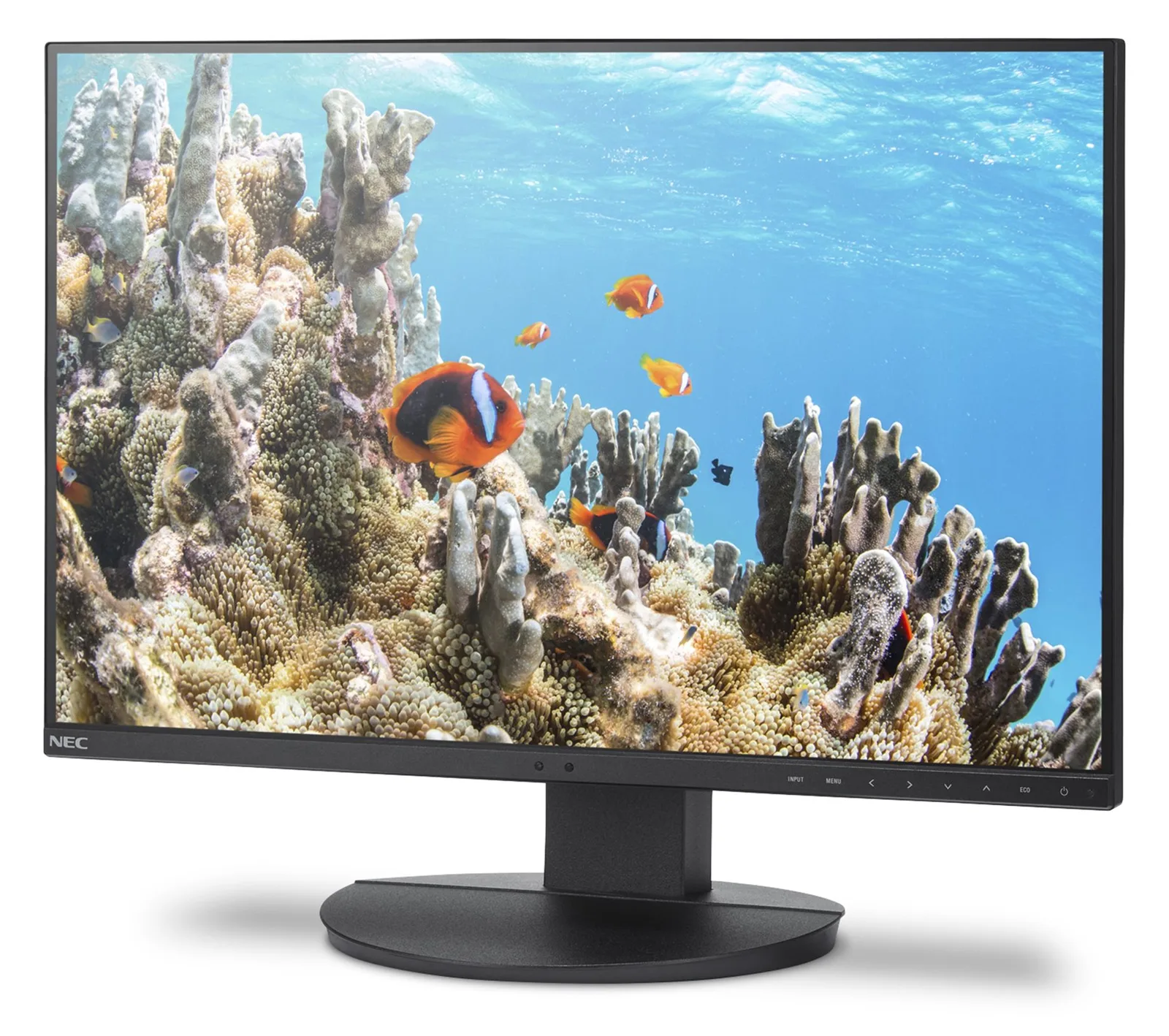 Sharp MultiSync EA242W - 24 - Flachbildschirm (TFT/LCD) - 61 cm, Ansicht 4