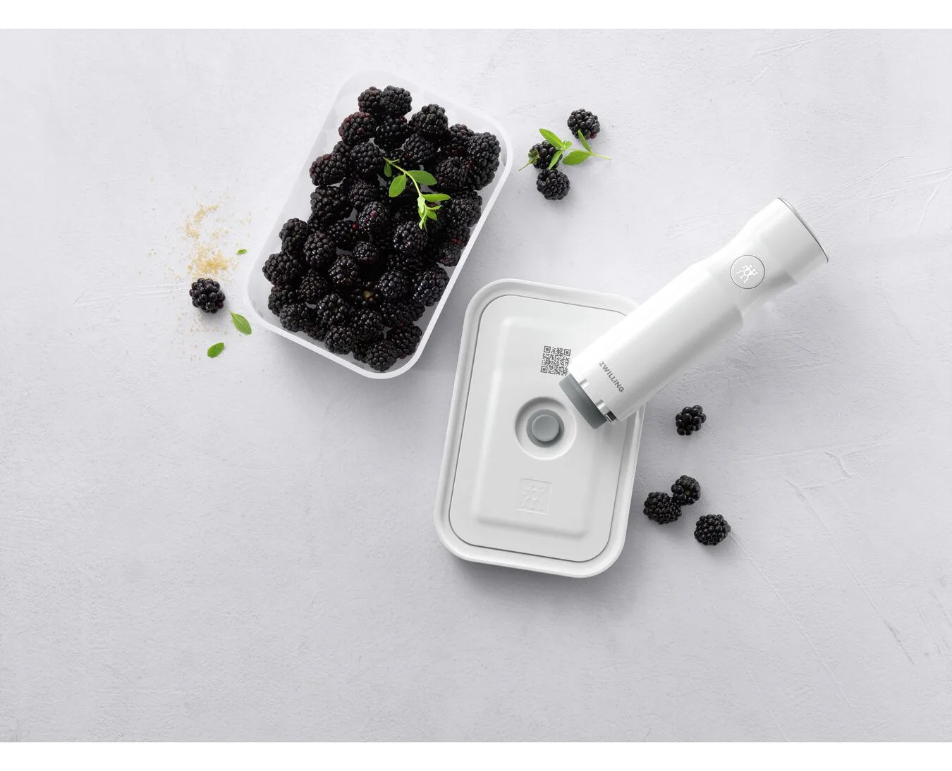 Zwilling FRESH & SAVE - Brotdose - Erwachsener - Grau - Kunststoff - Silikon - Einfarbig - Rechteckig, Ansicht 4