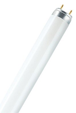 Osram LUMILUX - Fluoreszierende Glühlampe - Form: T8