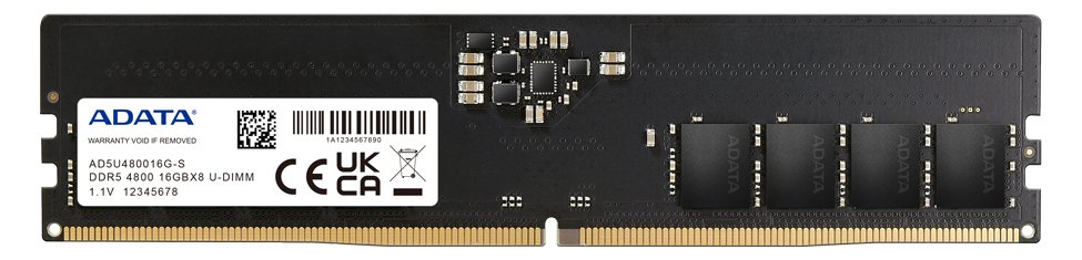 ADATA DDR5 - Modul - 16 GB - DIMM 288-PIN - 4800 MT/s / PC5-38400