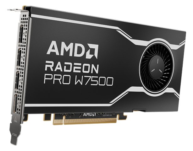 AMD Radeon Pro W7500 - Grafikkarten - Radeon Pro W7500