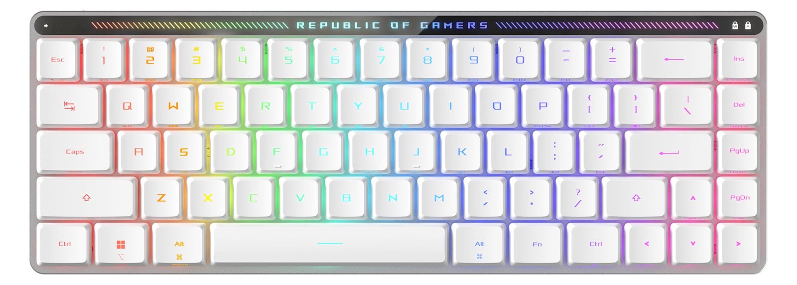 ASUS ROG FALCHION RX LP RL/RD - TL: Deutsch, QWERTZ