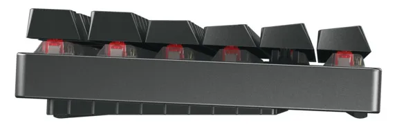 Cherry MX 8.2 TKL - Tastatur - Hintergrundbeleuchtung - TL: Deutsch, QWERTZ, Ansicht 4
