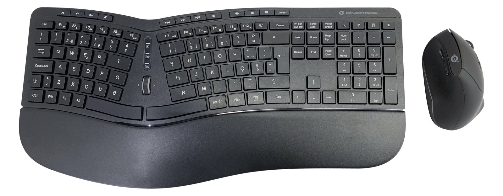 Conceptronic ORAZIO02PT - Volle Größe (100%) - RF Wireless - Schwarz - Maus enthalten - TL: Portugiesisch, QWERTY
